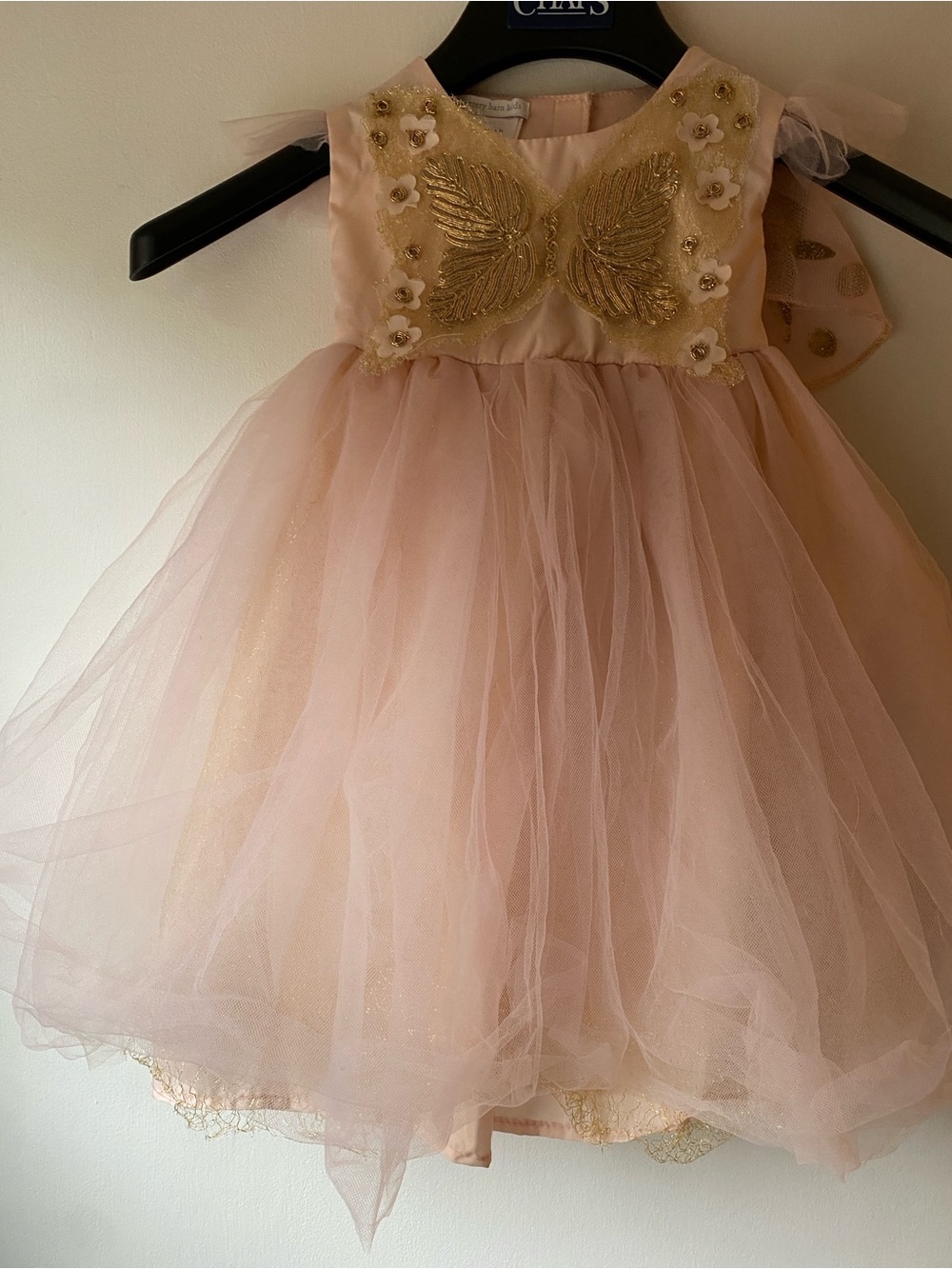 Pottery Barn Kids Pink Tulle Dress with Gold Embroidery